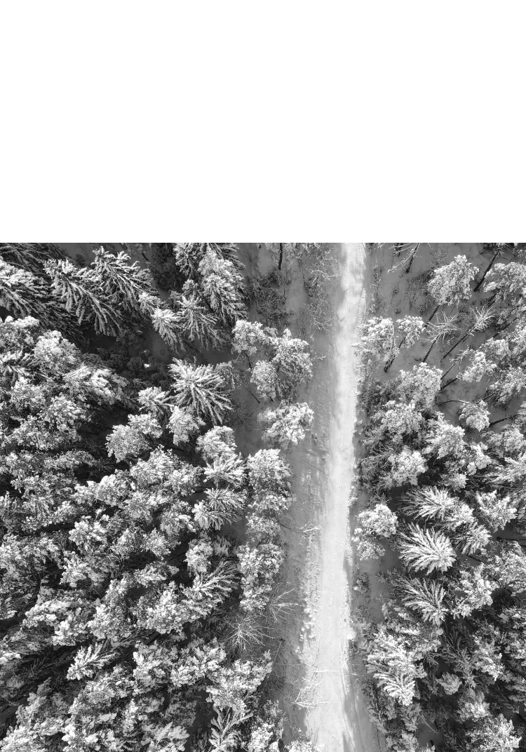 Norskal, Combi, Rubber-Corundum