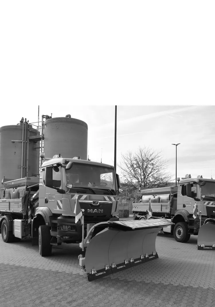 Norskal, Combi, Rubber-Corundum